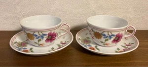 Richard Ginori Granduca Coreana Cup & Saucer Set of 2 Flower Antico Doccia 0927 - Picture 1 of 19