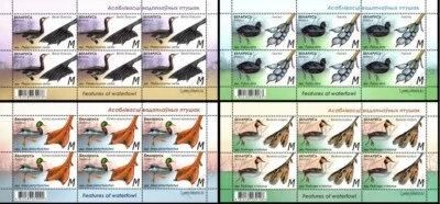 Bielorrusia 2023 características de aves acuáticas MNH Foto 1 de 4