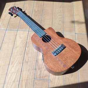 Discontinued Anuenue Papaii Pickup Cutaway - Picture 1 of 5