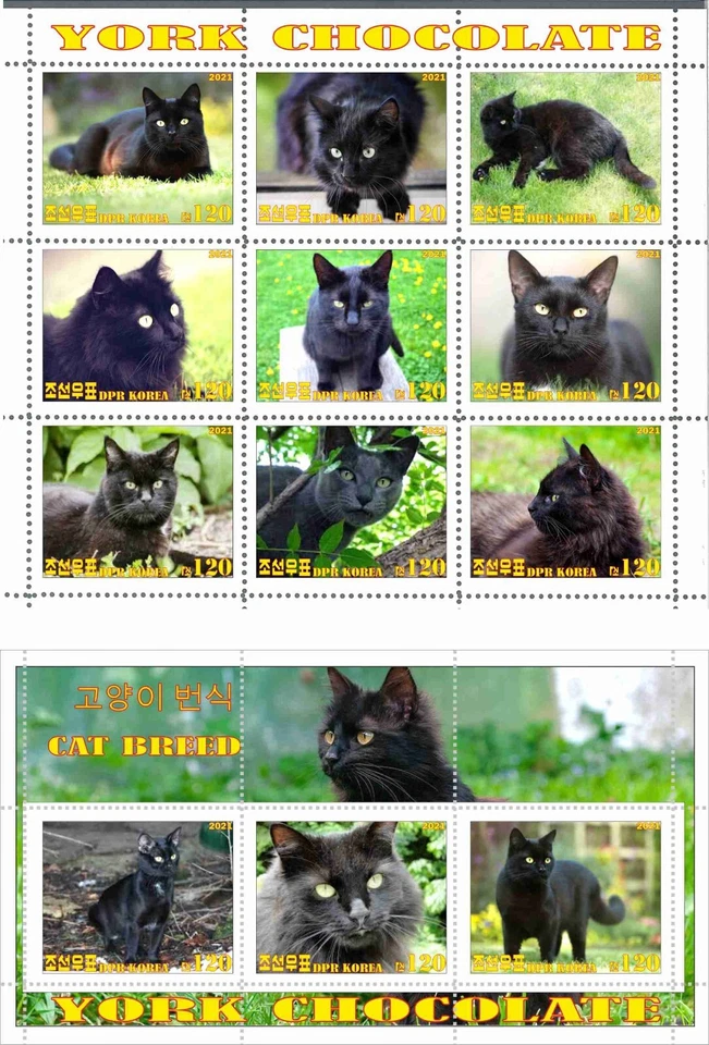 Stamp sheet+block York Chocolate Cat 2021 Korea Issue - Image 1 of 1