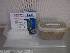 MAGIC farm's oyster MUSHROOM grow KIT (large (500ml) - with breathable filter) - Picture 1 of 2
