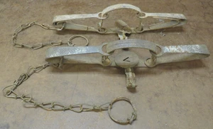 2 victor Double long spring #1 1/2 traps Strong Usable Cabin Decor Vintage - Picture 1 of 5
