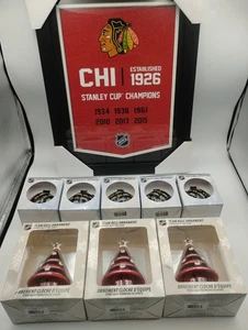 CHICAGO BLACKHAWKS LOT CHAMPION'S BANNER & 8 CHRISTMAS ORNAMENTS - Picture 1 of 7