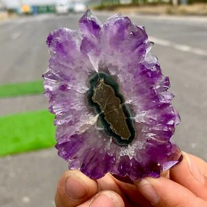43G Natural Alta Calidad Amatista Ágata Cuarzo Racimo Rebanada Cristal Mineral - Imagen 1 de 24