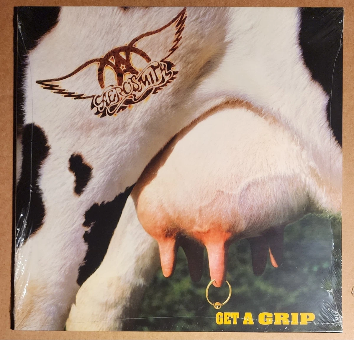 Aerosmith Get A Grip In Vinyl Records for sale | eBay