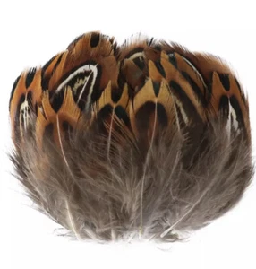 50pcs Natural Petite 3-4cm Real Pheasant Plumage Feathers DIY Art Craft Jewelery - Picture 1 of 14