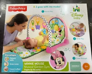 Fisher-Price Disney Baby Minnie Mouse musica giardino palestra nuovo con scatola - Foto 1 di 2