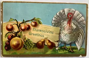 Postcard Thanksgiving Embossed Turkey Fruit 1910 St Paul Minn Winsch Back D116 - Foto 1 di 2