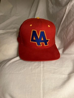 Kyle Petty - 44 - Hot Wheels Racing - Rojo oscuro - NASCAR Correa-Tapa trasera  Foto 1 de 4