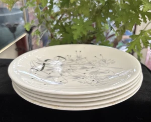 Wedgwood small dessert plates x 5, Wild Oats pattern, 6" diameter, 1960s vintage - Picture 1 of 16