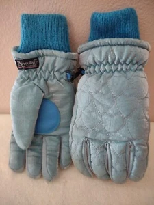 Thinsulate Thermal Insulation Gloves Nylon Trim Wrist cuff Womens Size Sm blue - Picture 1 of 2