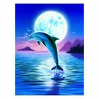 Diamond Painting Dolphin Portrait Lovely Full Moon View Design Embroidery Decors
