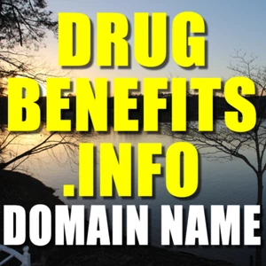 DRUGBENEFITS.INFO DOMAIN NAME Valuable Drug-Related Name! - Picture 1 of 1