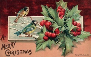 1907 Sander Bird Birds on Berry tree Christmas Postcard   - Picture 1 of 2