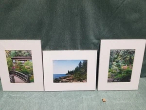New Lot of 3 Matted 5x7 Photo Fine Art Print Water Lake Front House Landscape - Picture 1 of 6