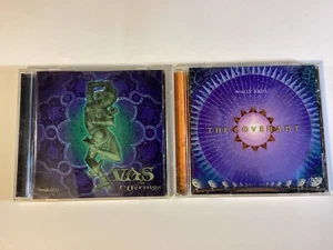 2 CDs: Vas: Offerings & Wally Brill: The Covenant - Free Shipping - Foto 1 di 12