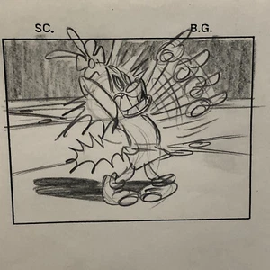 ANIMANIACS Animation Storyboard Illustration Drawing Sketch Art Story Board - Picture 1 of 10