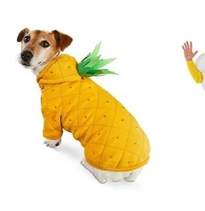 Bootique Dog Hoodie SWEATSHIRT Pineapple Costume OUTFIT HALLOWEEN XS NWT - Picture 1 of 3