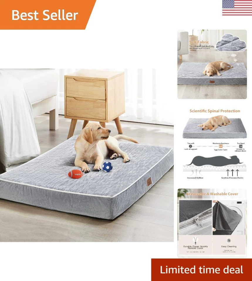 Cama ortopédica de lujo para perros grandes | Alfombra impermeable y antideslizante XL para mascotas Foto 1 de 4