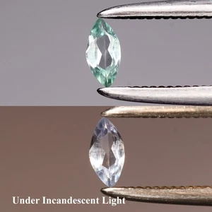 💎 0.06ct 4x2mm VS Marquise Natural Green Alexandrite - Russia Gemstone - Picture 1 of 6