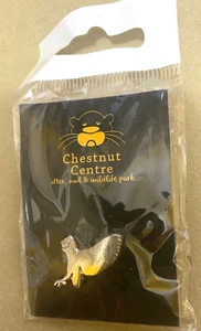 Silver Metal OWL Chestnut Centre Otter Wildlife Park Rare Souvenir Pin Badge - Picture 1 of 3