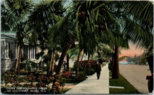 1910s Old FL Postcard Under the Cocoanut Trees on 12th Street Miami HEAVY WEAR - Picture 1 of 2