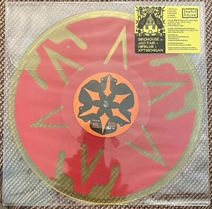 JAD FAIR + HIFIKLUB + KPTMICHIGAN Bird House Vinyl Picture Disc JNR85 261/300 - Picture 1 of 5
