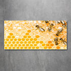 Wandbild aus Plexiglas Druck auf Acryl 120x60 Tiere Bienen