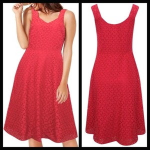 M\u0026Co Christmas Dresses for Women for 