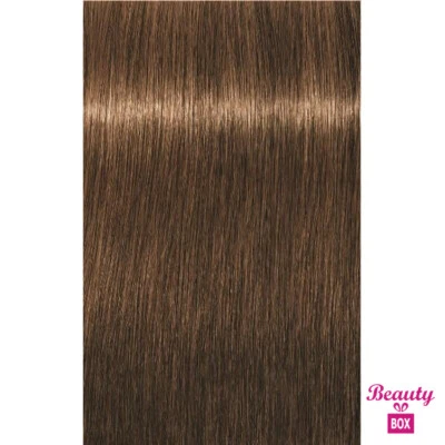SCHWARZKOPF PROFESSIONAL IGORA ROYAL 6-05 Dark Blonde Natural Gold 60g - image 1 of 4