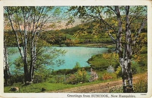 Postal New Hampshire Saludos desde Suncook Merrimack County Pond 1929 - Imagen 1 de 1