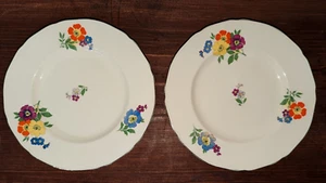 Set of 2 Alfred Meakin "Freda" Bread Plates 6 1/2" RARE - Picture 1 of 8