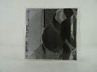 THE TAMBORINES SEA OF MURMUR (454) 11 Track Promo CD Album Picture Sleeve BEAT-M
