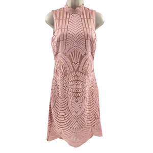 Bardot Revolve Alice Lace Dress 4 XSmall Latte Pink Bodycon Knee Length 52143DB - Picture 1 of 8