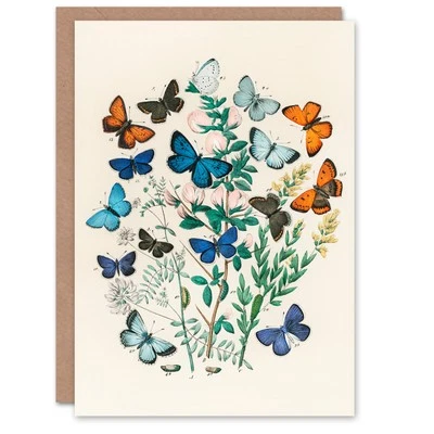 Tarjeta artística William Forsell Kirby mariposas azules y naranjas Foto 1 de 4