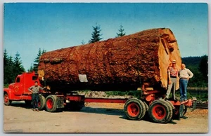 OR Giant Fir Log 13000 Board Feet On Log Transported On Logging Truck Postcard - Picture 1 of 2