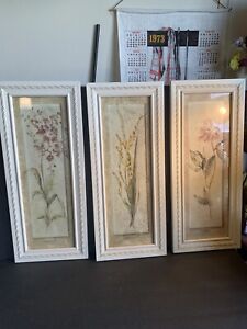 Vtg French Country Floral Prints Set~3~Tall Thin Gilt Antq White~Botanical~21x9”
