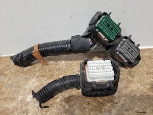 2009 HONDA ACCORD ECM ECU PIGTAIL CONNECTORS HARNESS - Picture 1 of 2