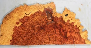 Madera con incrustación 5A 8 mm Birmania corteza palo de rosa madera dura burl caja hacer chapa de marquetería - Imagen 1 de 4