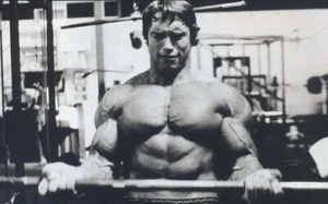 Arnold Schwarzenegger Olympia Bodybuilding Wall Print Poster 20x30 - Picture 1 of 2