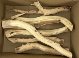 Manzanita Branch Bundle of 6 Perfect for Reptile Logs Bird Perches 16-20" Long - Picture 1 of 16