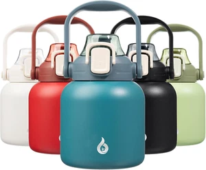 Insulated Water Bottles with Straw, 27 Oz Cute Water Bottles with Handle, BPA Fr - Picture 1 of 12