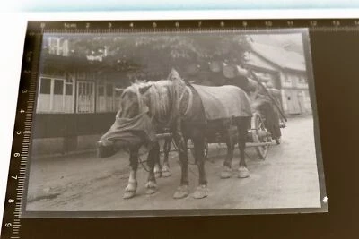 tolles altes Negativ Pferdefuhrwerk , beladen mit Holzstämme - Pferd Futtersack - Bild 1 von 3