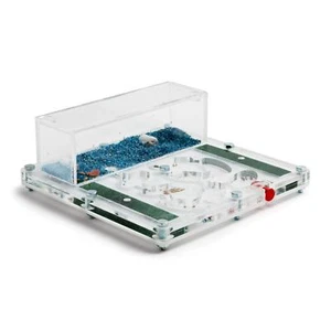  Fourmilière professionnelle 15x15x1 (Fourmis et reine gratuites) - Afbeelding 1 van 9