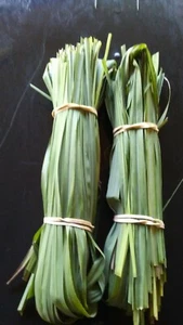 2 lbs Fresh Organic Garden Edible Lemon Grass Leaves Tea Green Cut, in Florida - Picture 1 of 2