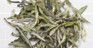 White Peony Tea - Picture 1 of 1