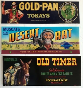 Etiquetas de caja de frutas de rata del desierto, vintage, sartén dorada - Imagen 1 de 1