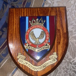 Air Training Corps 335 Sqn Handpainted Crest Shield Plaque** Very Rare - Picture 1 of 2