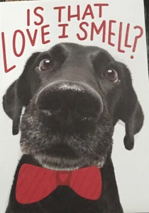 Happy Valentine’s Day Funny Dog, is that love i smell, RPG, Greeting Card - Picture 1 of 3