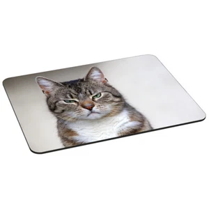 Mauspad XL Gaming Design Mousepad rutschfest, Cat Katze Kater Mieze - Bild 1 von 1